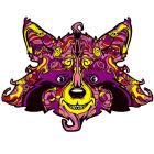 Raccoon/S