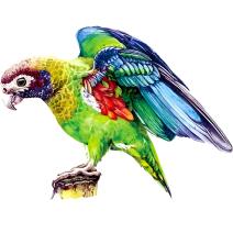 Dřevěné puzzle - Macaw/L